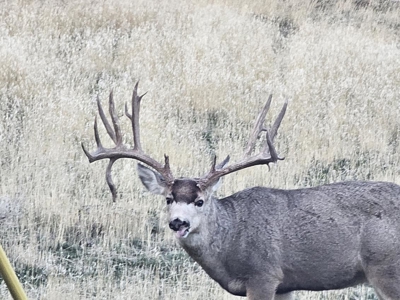 Eastern Oregon Steens Mountain Wilderness Resort - image 48