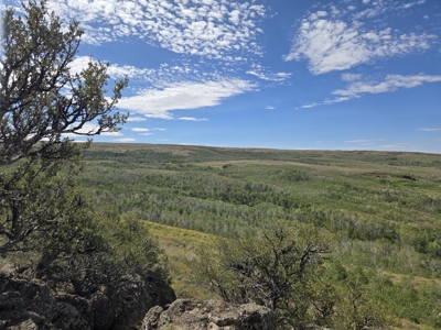 Eastern Oregon Steens Mountain Wilderness Resort - image 38