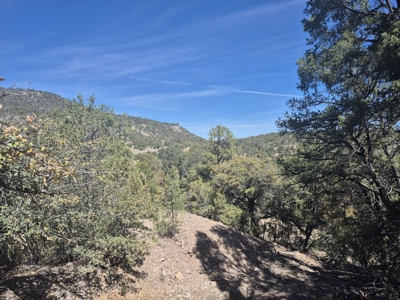 Income-Producing Retreat for Sale in Mimbres, NM - image 15