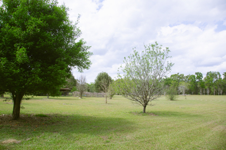 Custom Brick Home On 10 Acres Fort White Florida - image 36