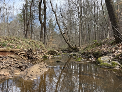 Private Home with Creek + Additional Buildable Lot Available - image 37