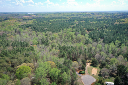 Private Home with Creek + Additional Buildable Lot Available - image 43