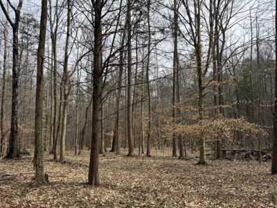 Private Home with Creek + Additional Buildable Lot Available - image 38