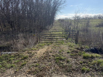 8 Acres of Timber - Great Hunting - image 14