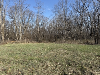 8 Acres of Timber - Great Hunting - image 1