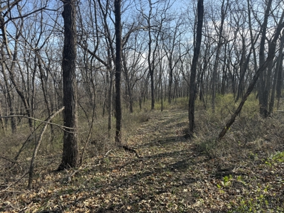 8 Acres of Timber - Great Hunting - image 9