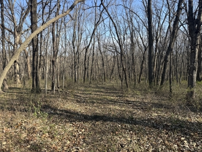 8 Acres of Timber - Great Hunting - image 11