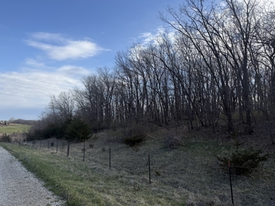 8 Acres of Timber - Great Hunting - image 4