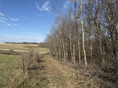 8 Acres of Timber - Great Hunting - image 6