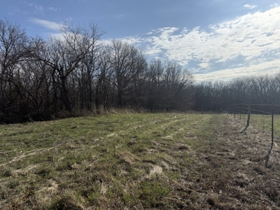8 Acres of Timber - Great Hunting - image 2