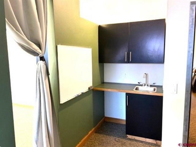 Prime Ridgway CO Commercial Office Condo For Sale - image 19