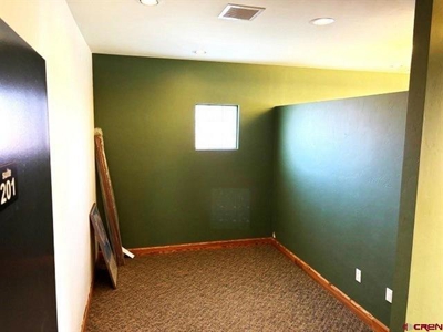 Prime Ridgway CO Commercial Office Condo For Sale - image 20