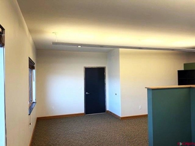 Prime Ridgway CO Commercial Office Condo For Sale - image 18