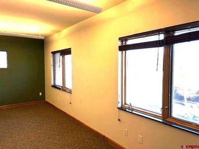 Prime Ridgway CO Commercial Office Condo For Sale - image 14