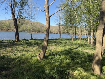 River Front Lot For Sale In Arkansas - image 21