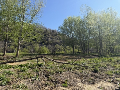 River Front Lot For Sale In Arkansas - image 25