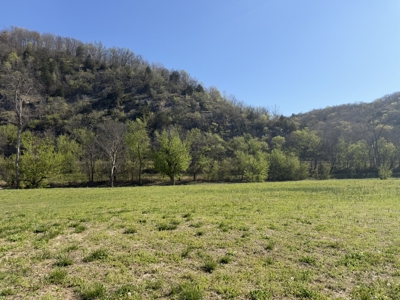 River Front Lot For Sale In Arkansas - image 20