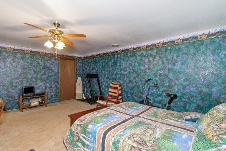 Ozarks 81-Acre Farm Near Bull Shoals Lake & National Forest - image 17