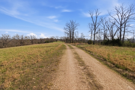 Ozarks 81-Acre Farm Near Bull Shoals Lake & National Forest - image 32