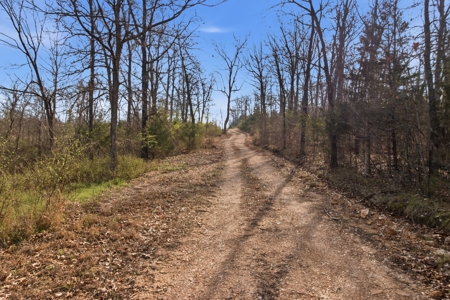 Ozarks 81-Acre Farm Near Bull Shoals Lake & National Forest - image 45