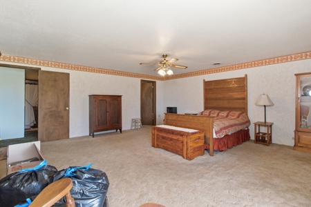 Ozarks 81-Acre Farm Near Bull Shoals Lake & National Forest - image 14