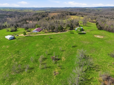 Ozarks 81-Acre Farm Near Bull Shoals Lake & National Forest - image 47