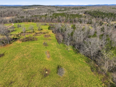 Ozarks 81-Acre Farm Near Bull Shoals Lake & National Forest - image 26