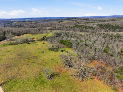 Ozarks 81-Acre Farm Near Bull Shoals Lake & National Forest - image 30
