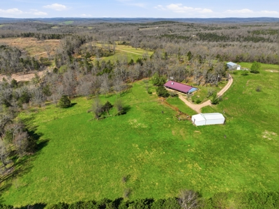 Ozarks 81-Acre Farm Near Bull Shoals Lake & National Forest - image 3