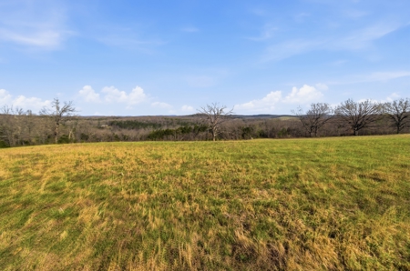 Ozarks 81-Acre Farm Near Bull Shoals Lake & National Forest - image 44
