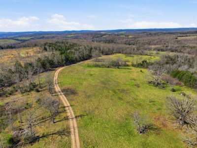 Ozarks 81-Acre Farm Near Bull Shoals Lake & National Forest - image 4