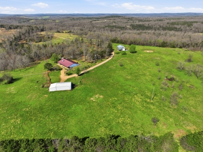 Ozarks 81-Acre Farm Near Bull Shoals Lake & National Forest - image 28