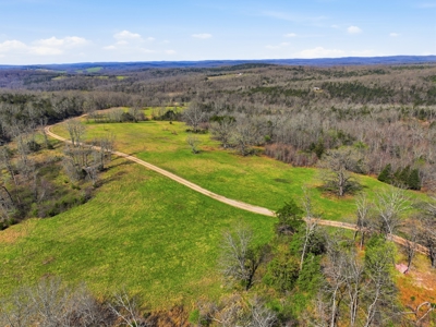 Ozarks 81-Acre Farm Near Bull Shoals Lake & National Forest - image 29