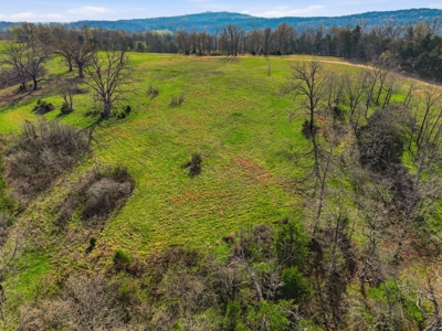 Ozarks 81-Acre Farm Near Bull Shoals Lake & National Forest - image 48