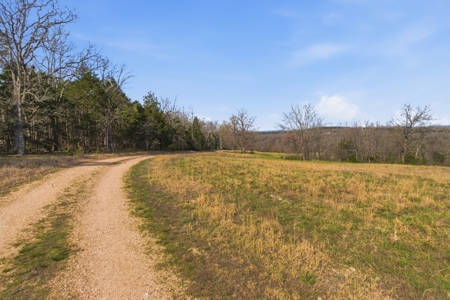 Ozarks 81-Acre Farm Near Bull Shoals Lake & National Forest - image 36