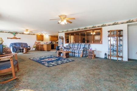 Ozarks 81-Acre Farm Near Bull Shoals Lake & National Forest - image 5