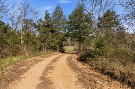 Ozarks 81-Acre Farm Near Bull Shoals Lake & National Forest - image 31
