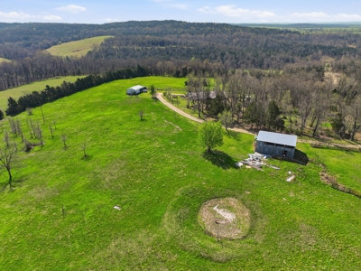Ozarks 81-Acre Farm Near Bull Shoals Lake & National Forest - image 34