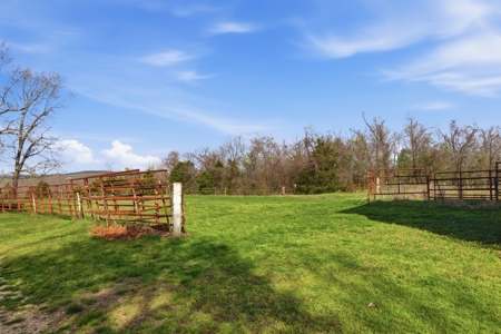 Ozarks 81-Acre Farm Near Bull Shoals Lake & National Forest - image 33