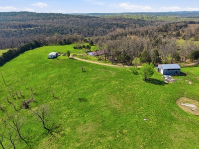 Ozarks 81-Acre Farm Near Bull Shoals Lake & National Forest - image 35