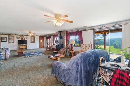 Ozarks 81-Acre Farm Near Bull Shoals Lake & National Forest - image 6