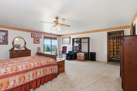 Ozarks 81-Acre Farm Near Bull Shoals Lake & National Forest - image 15