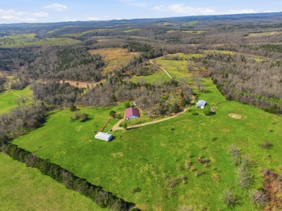 Ozarks 81-Acre Farm Near Bull Shoals Lake & National Forest - image 37