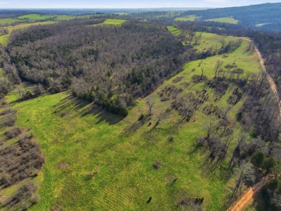 Ozarks 81-Acre Farm Near Bull Shoals Lake & National Forest - image 27