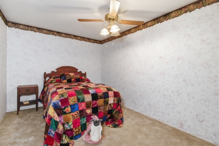 Ozarks 81-Acre Farm Near Bull Shoals Lake & National Forest - image 18