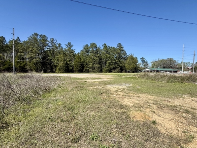 2.5ac Commercial Lot for Sale Geneva Alabama - Hwy 52 - image 20