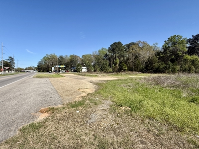 2.5ac Commercial Lot for Sale Geneva Alabama - Hwy 52 - image 15