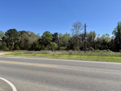 2.5ac Commercial Lot for Sale Geneva Alabama - Hwy 52 - image 13