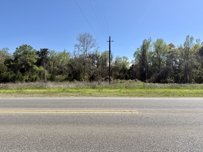 2.5ac Commercial Lot for Sale Geneva Alabama - Hwy 52 - image 2