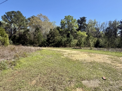 2.5ac Commercial Lot for Sale Geneva Alabama - Hwy 52 - image 17